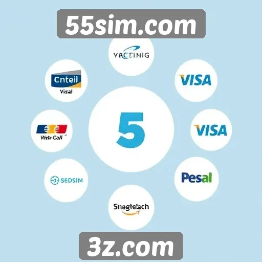Estudo sobre os métodos de pagamento disponíveis no site 55sim.com